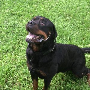 Meet your Posher, Emmanuel